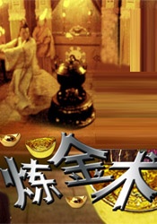 郁金香热